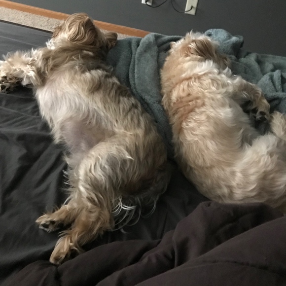 Meet your Posher, Seth - Picture 3 of 4